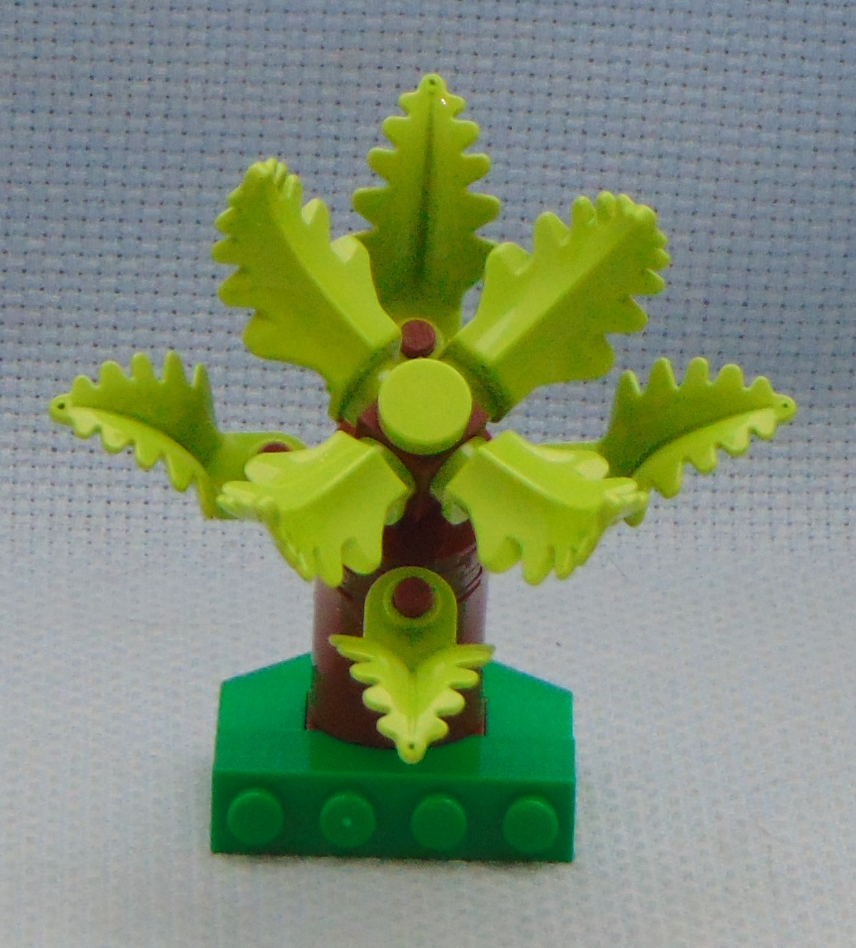 tree_17.2__front.jpg