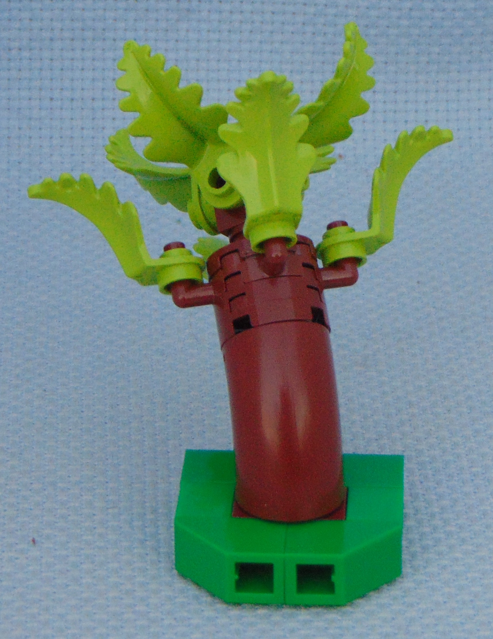 tree_17.2__rear.jpg