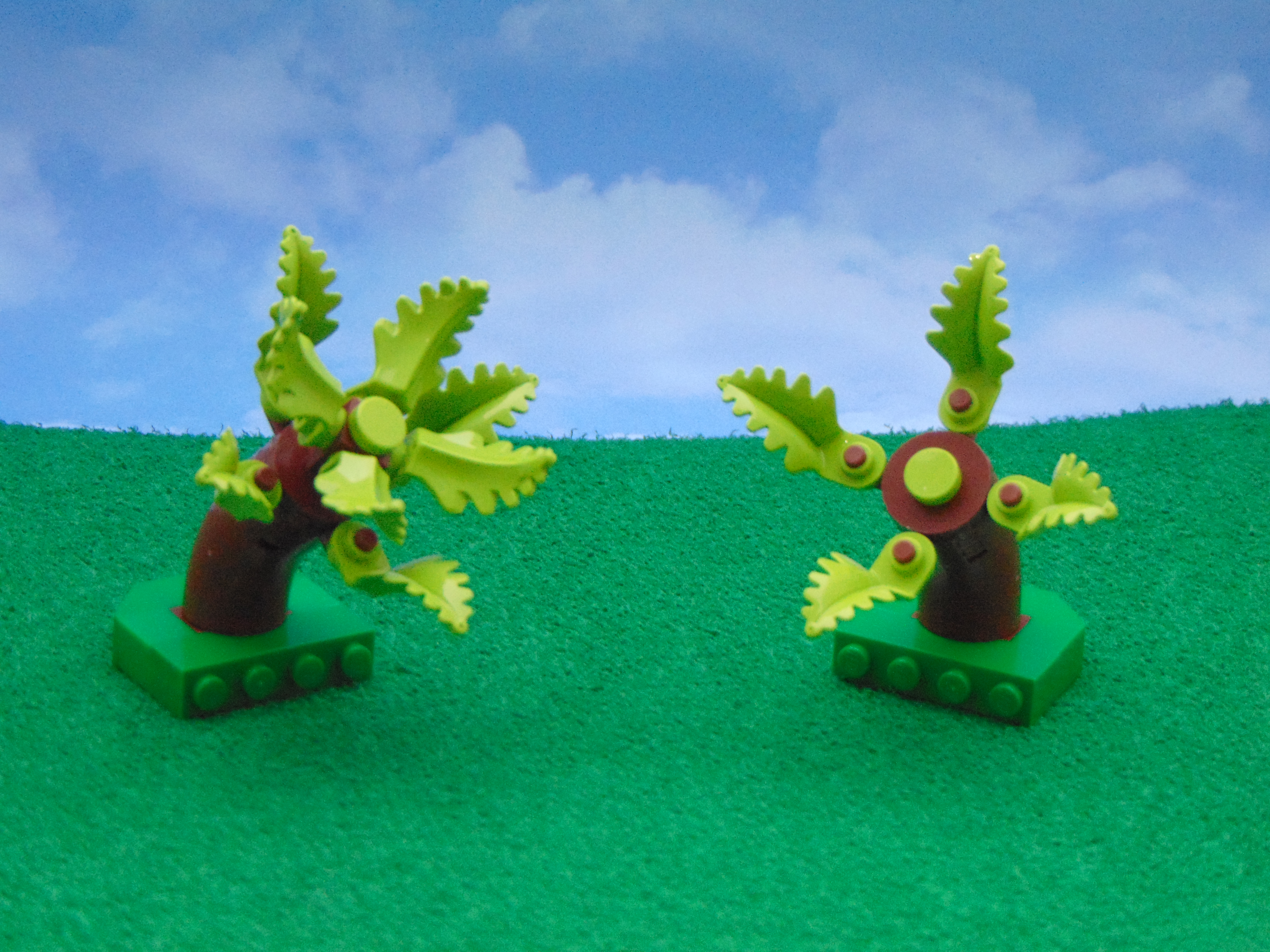 trees_17.jpg