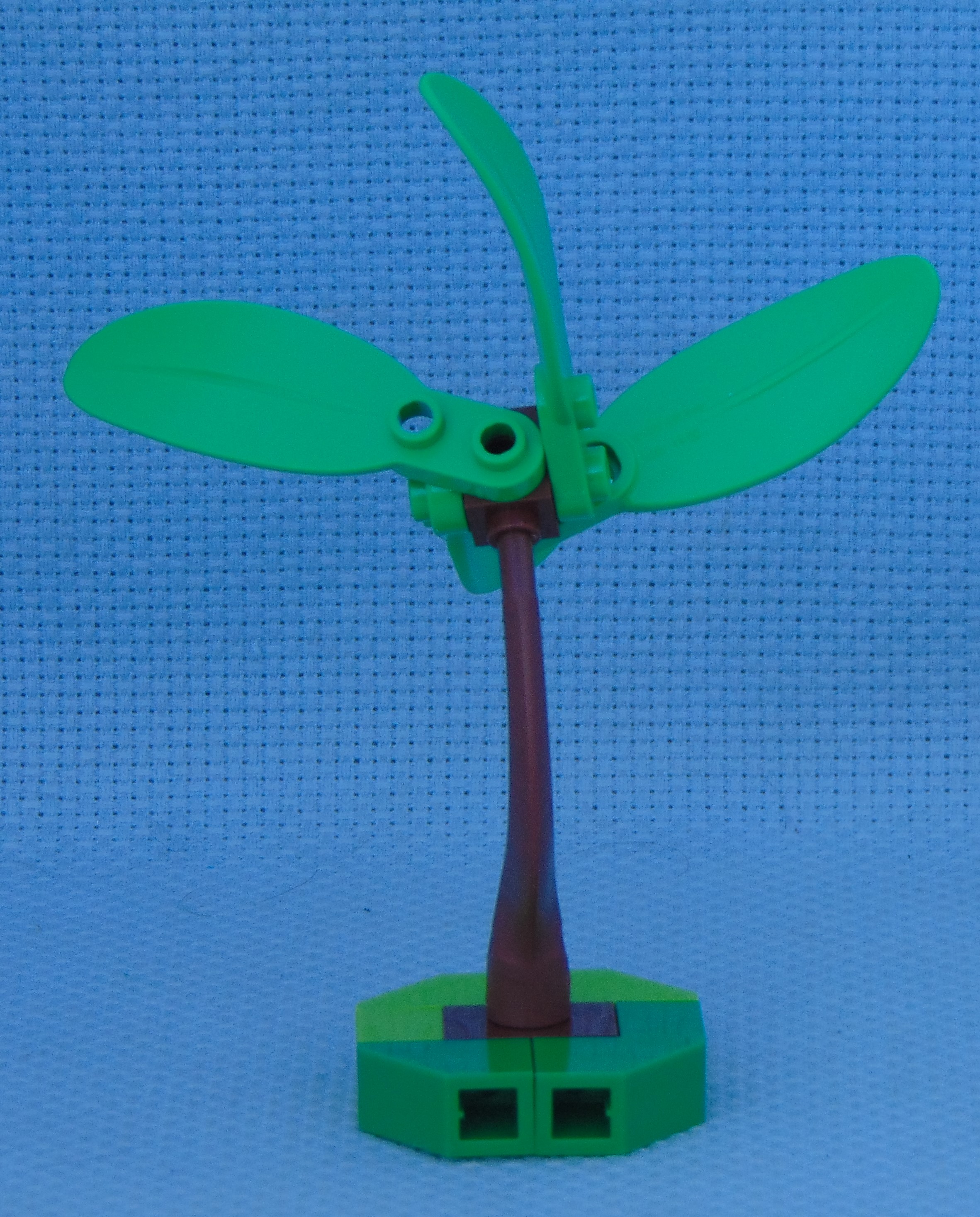 tree_19.1__rear.jpg