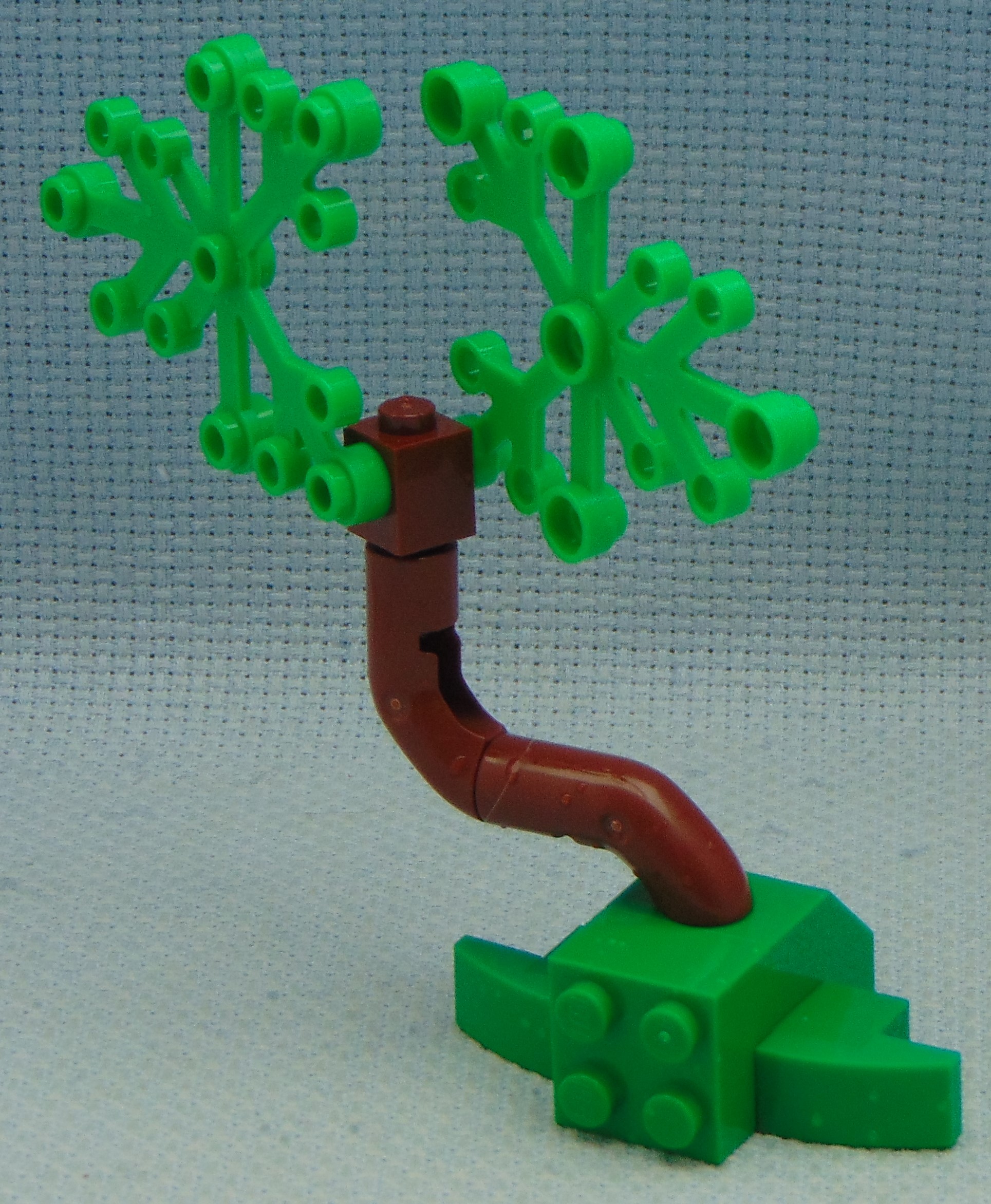 tree_21__angle.jpg