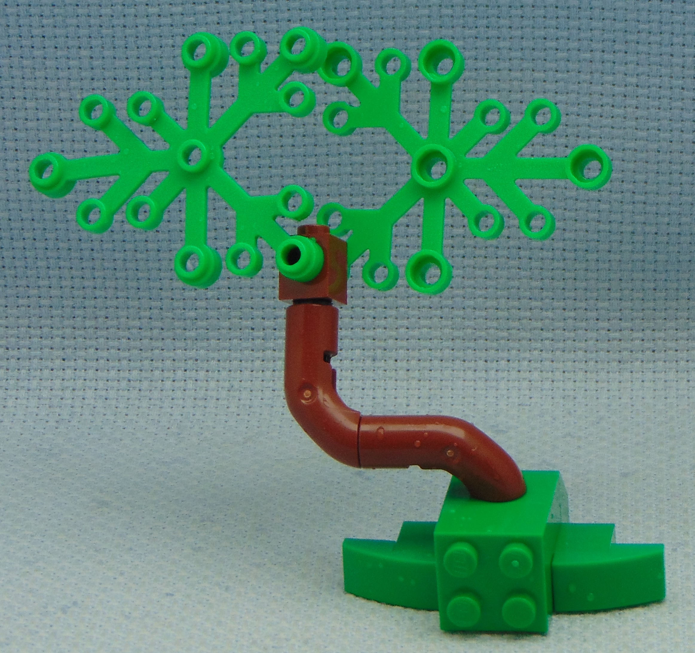 tree_21__bent.jpg