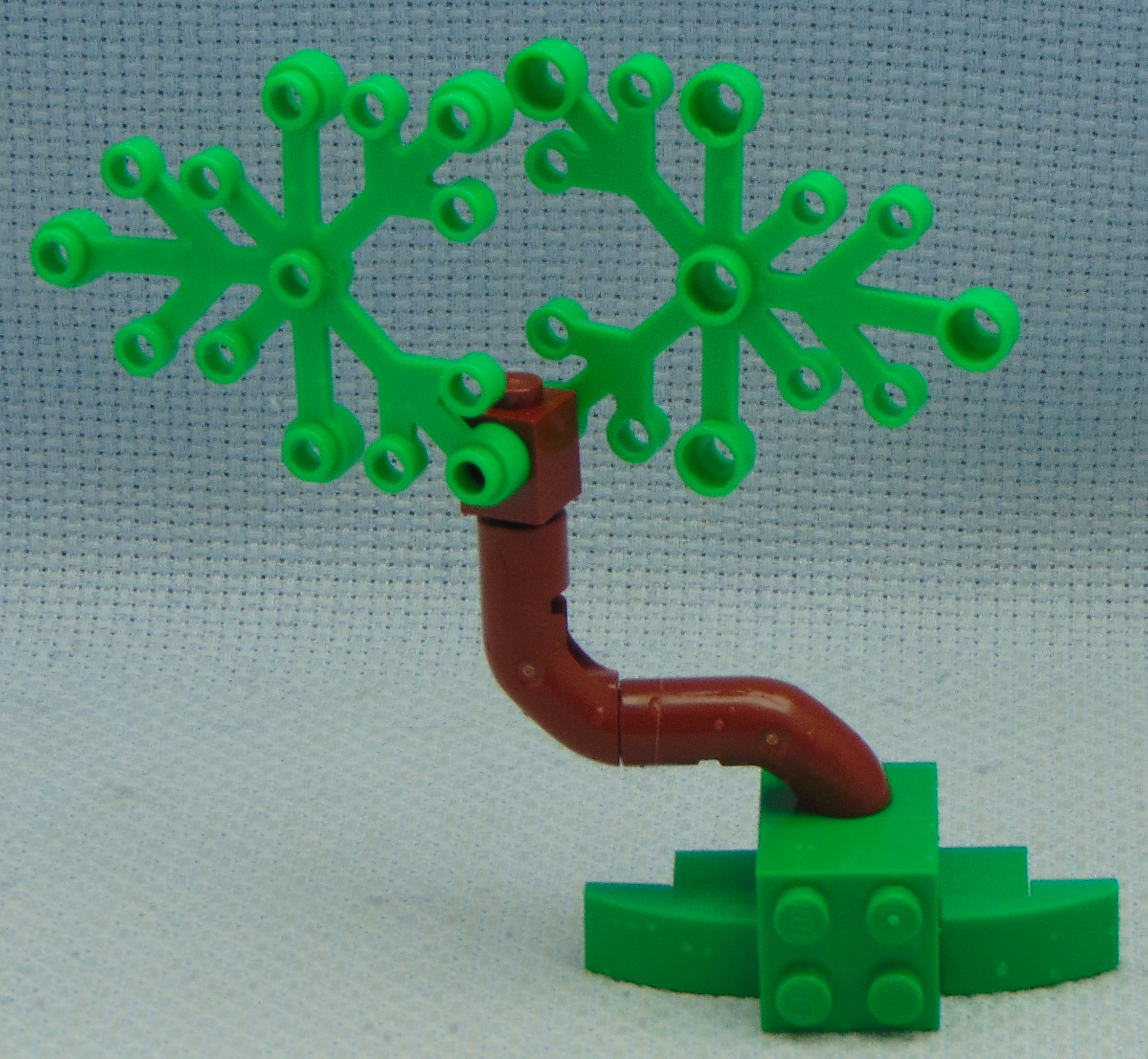 tree_21__front.jpg
