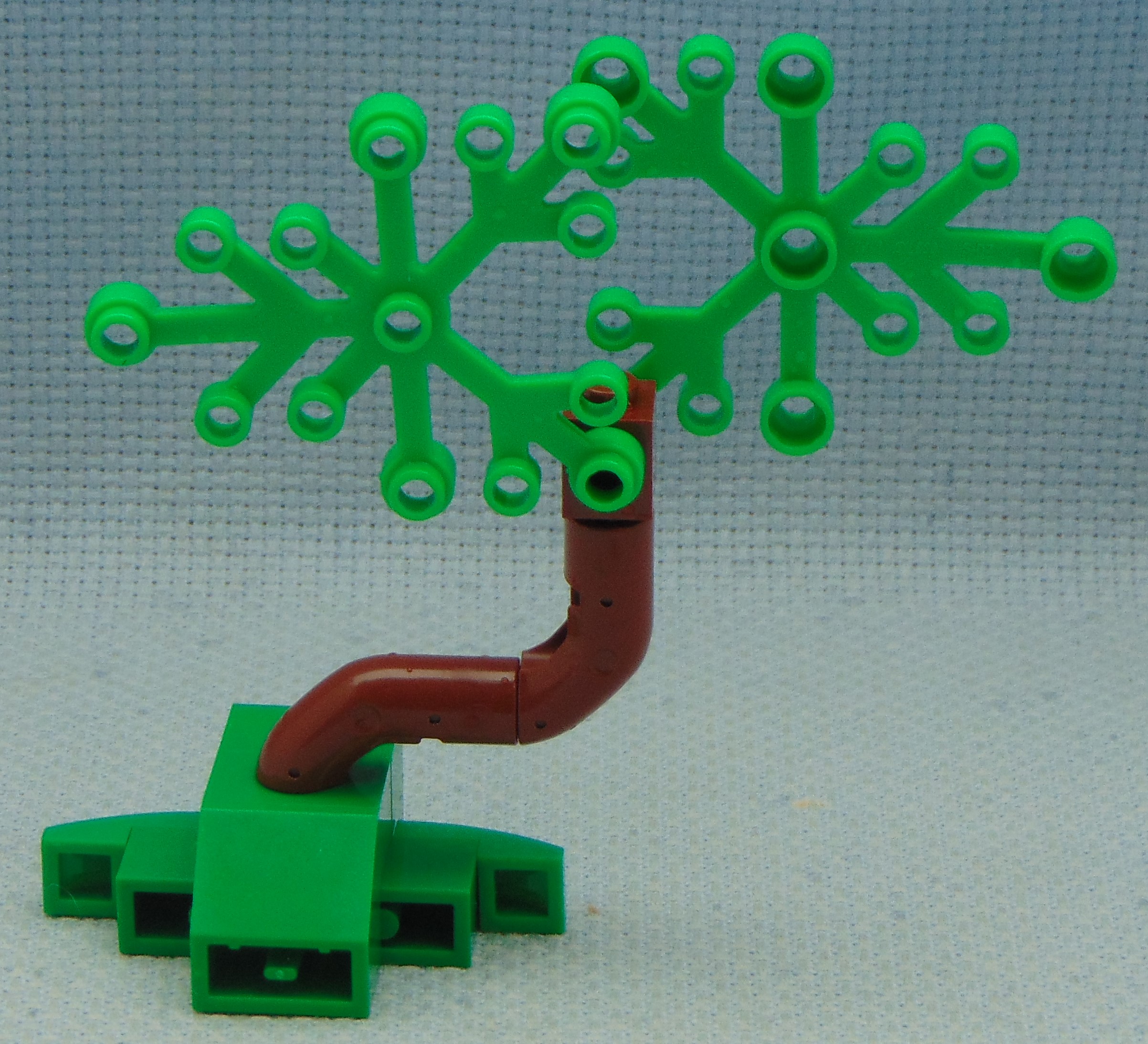 tree_21__rear.jpg
