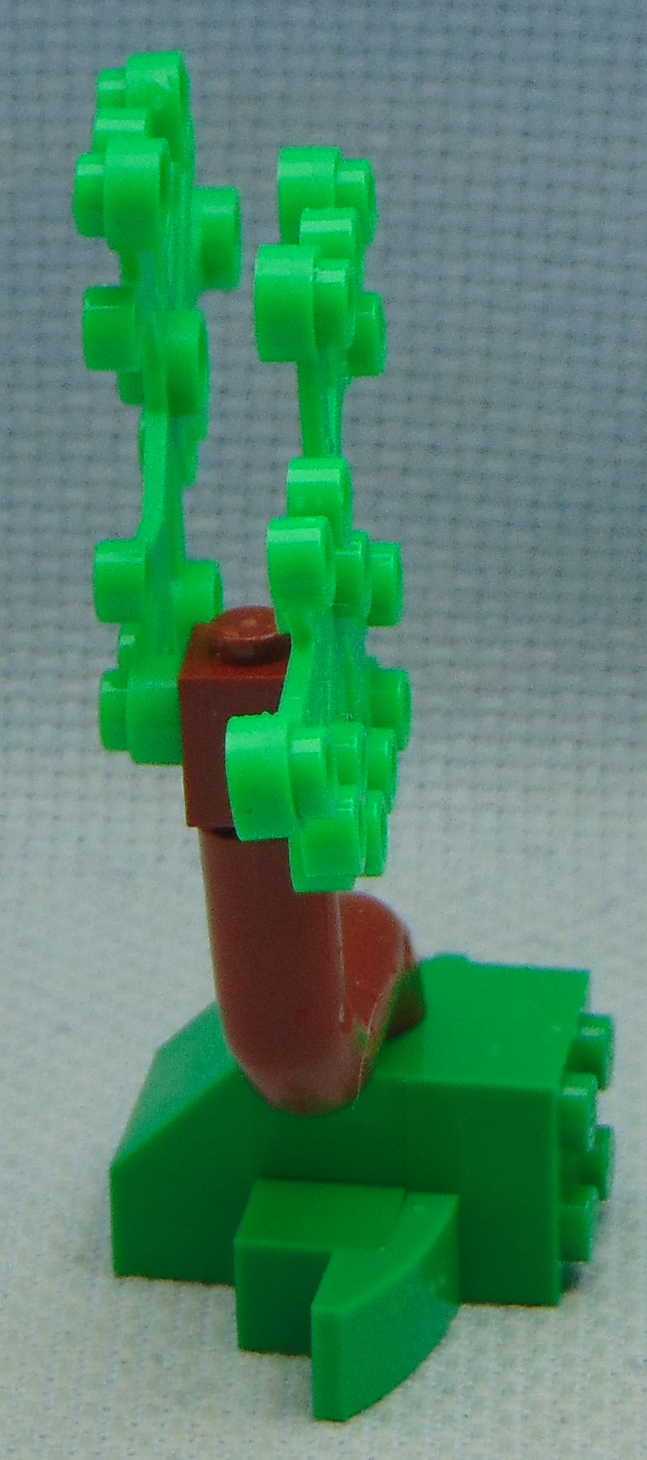 tree_21__side.jpg