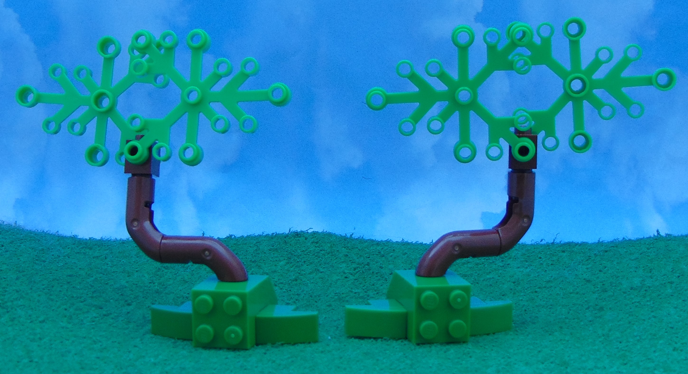 trees_21.jpg