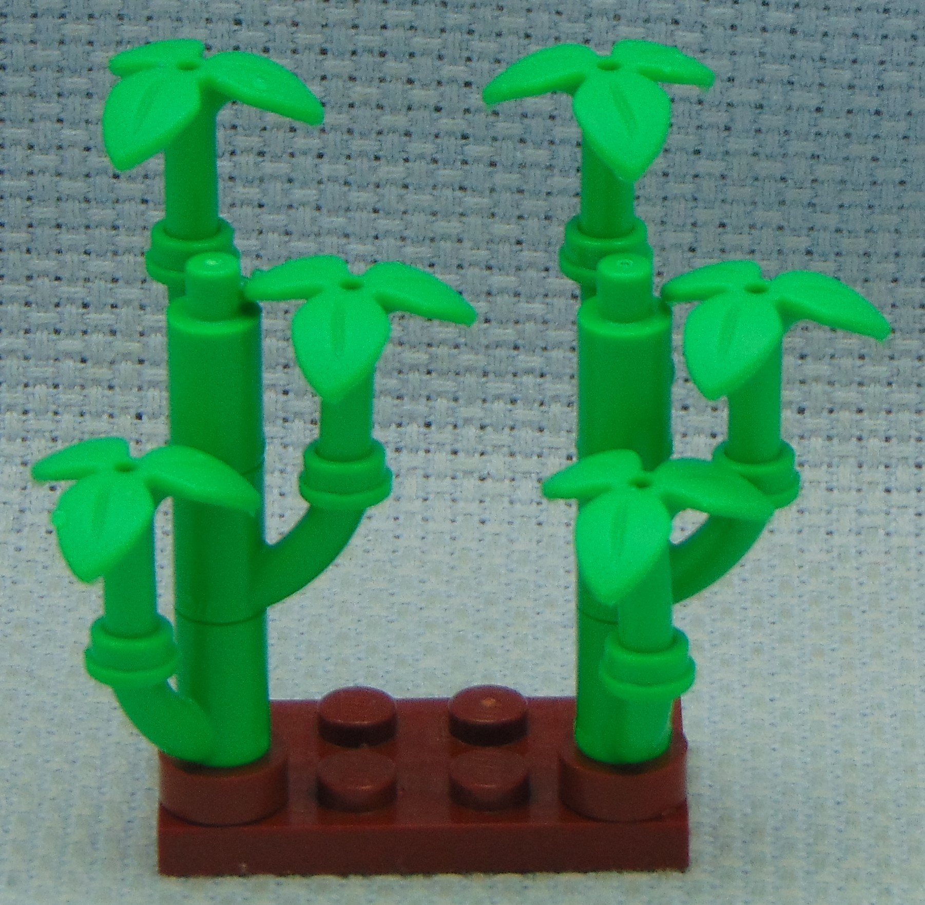 bamboo__front.jpg