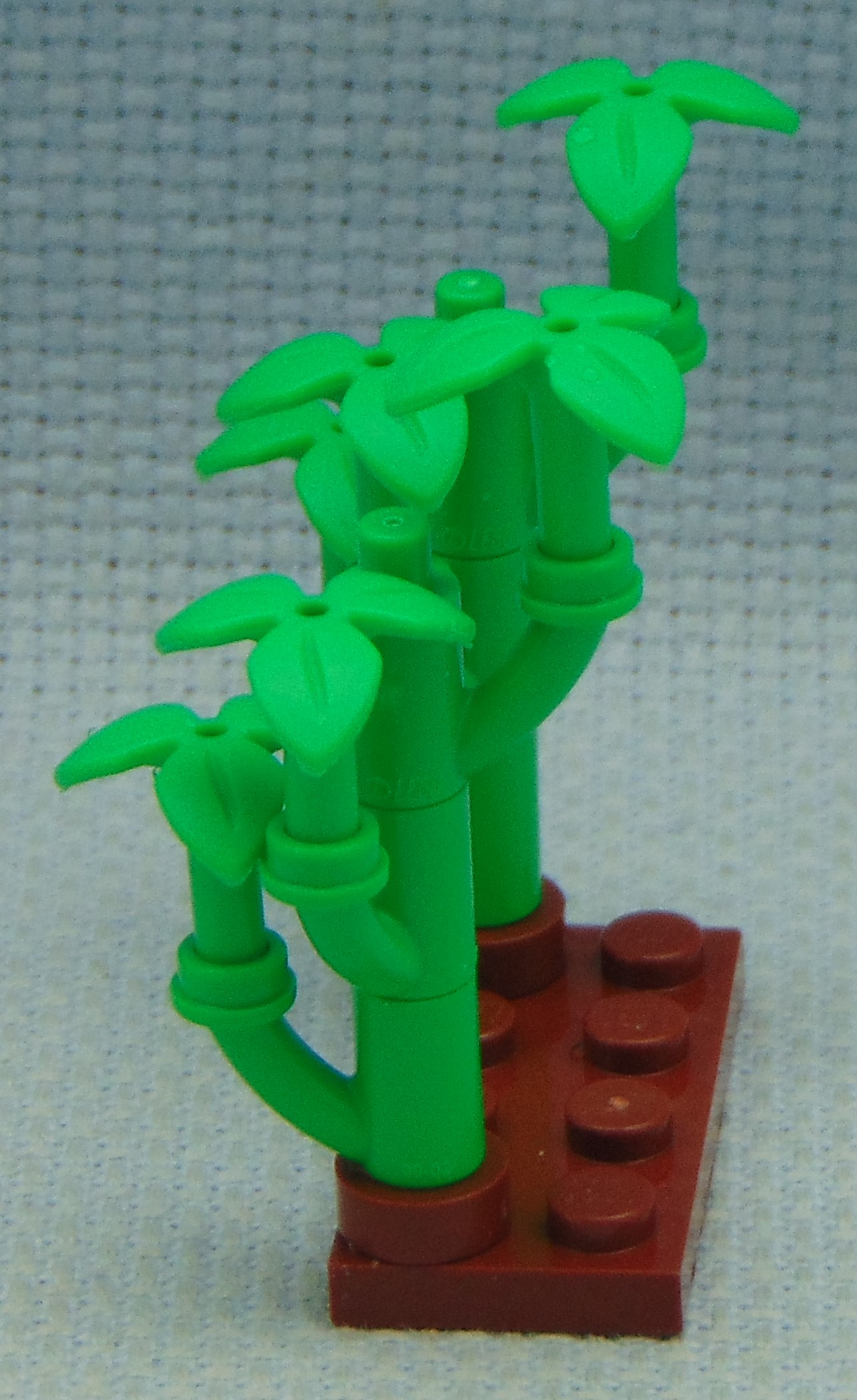 bamboo__left.jpg