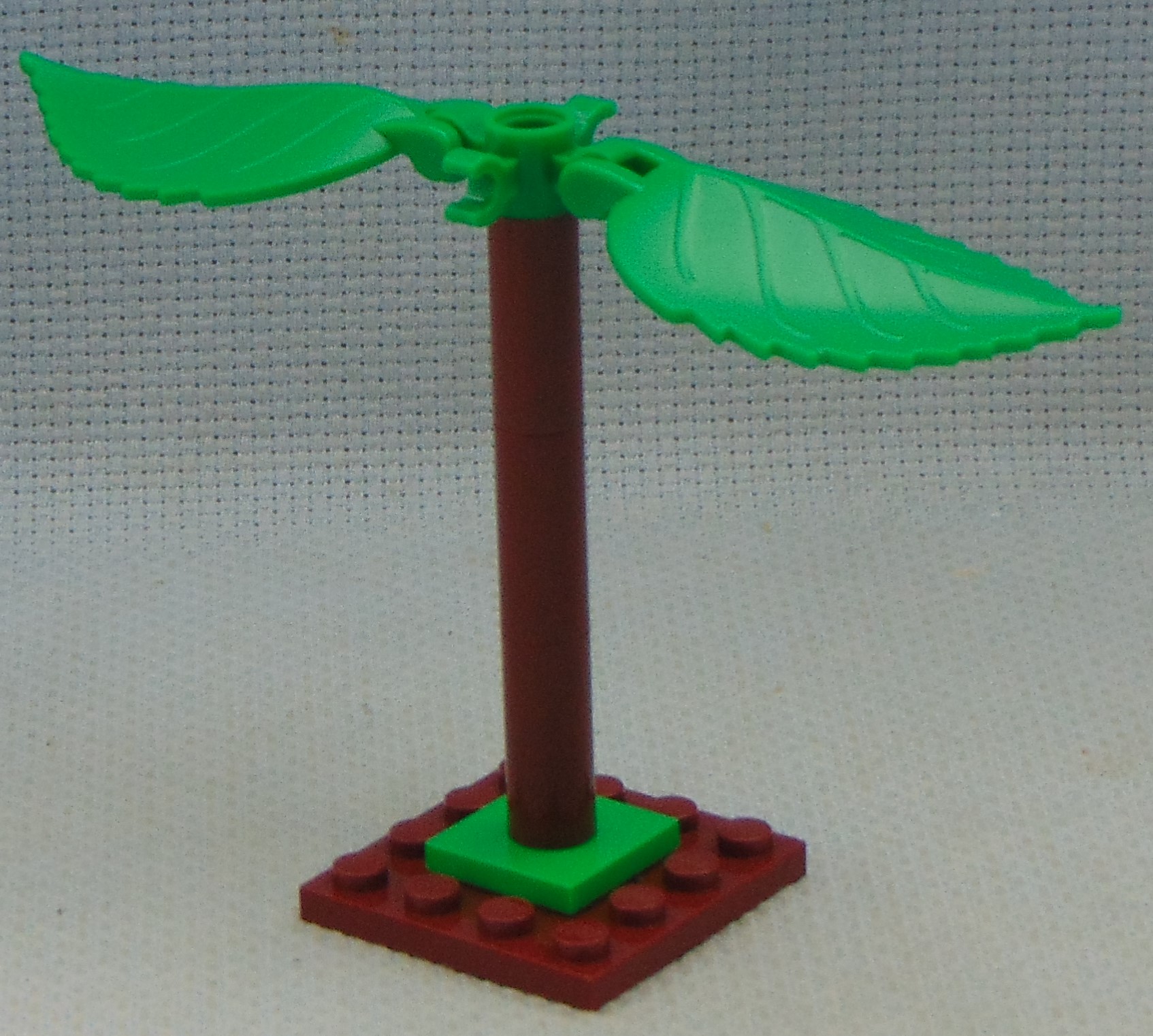 clone_tree_1__angle.jpg