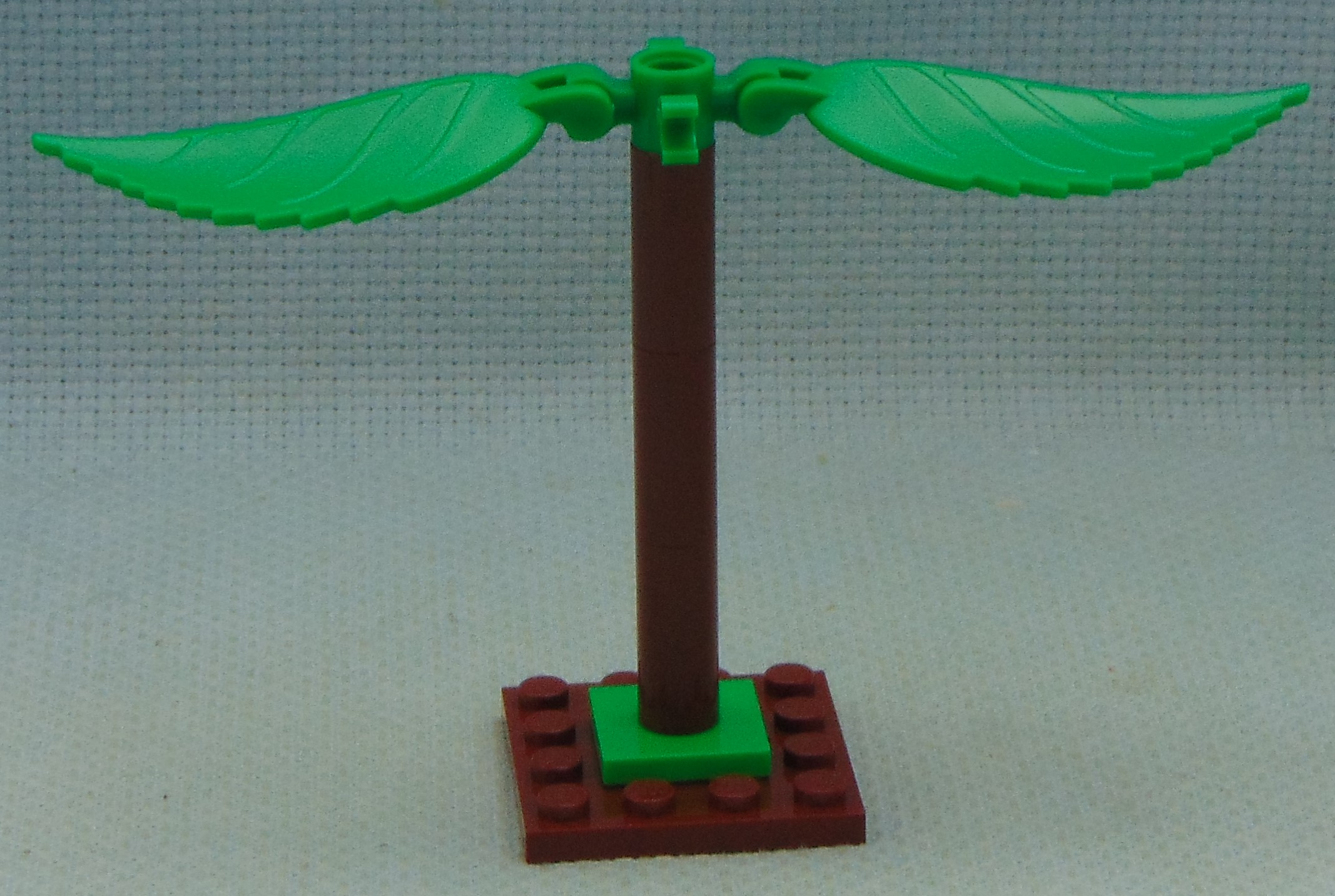 clone_tree_1__front.jpg
