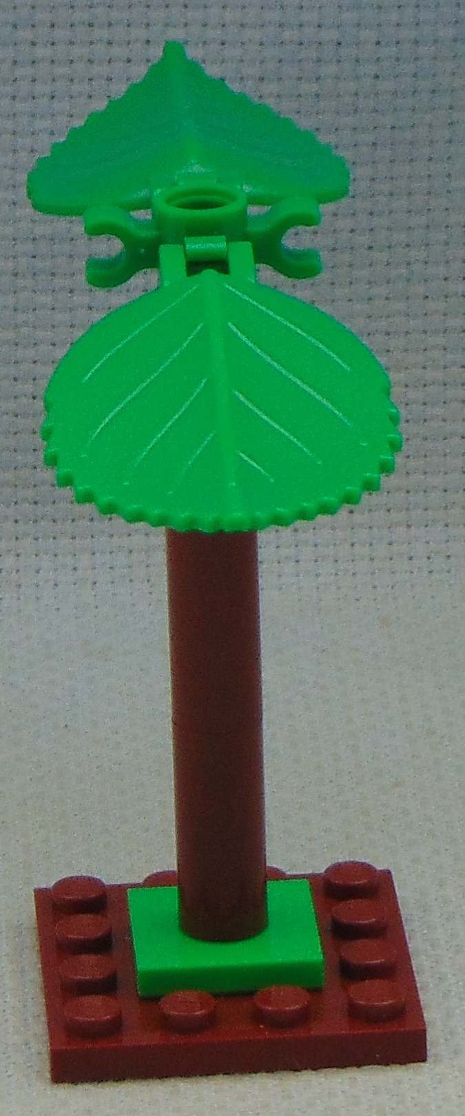 clone_tree_1__side.jpg