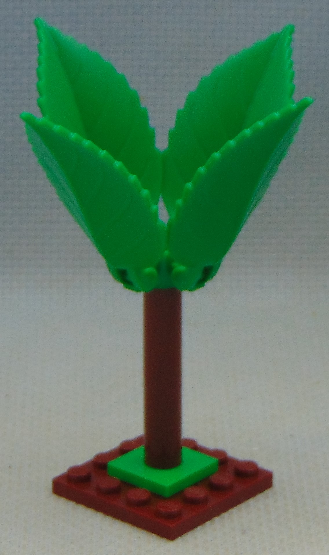 clone_tree_2__angle.jpg