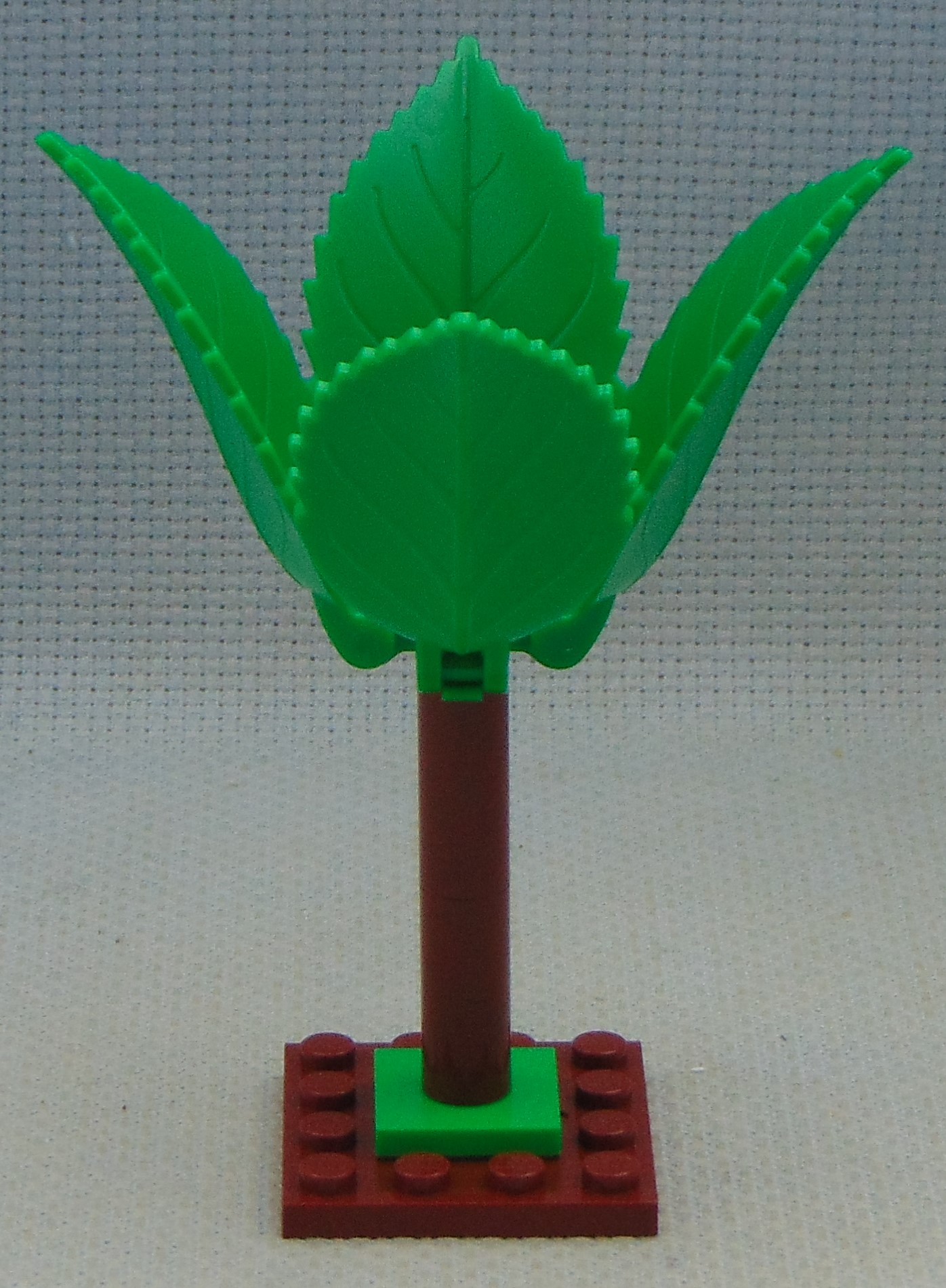 clone_tree_2__front.jpg