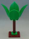 clone_tree_2__front.jpg