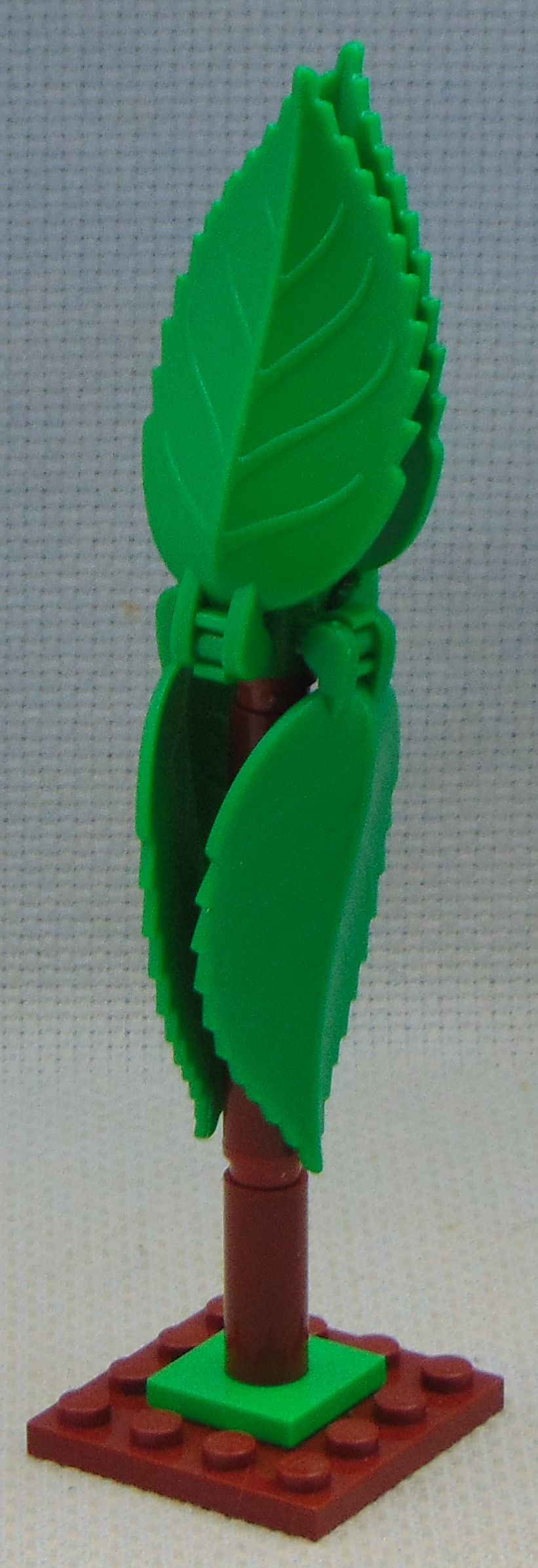 clone_tree_3__angle.jpg