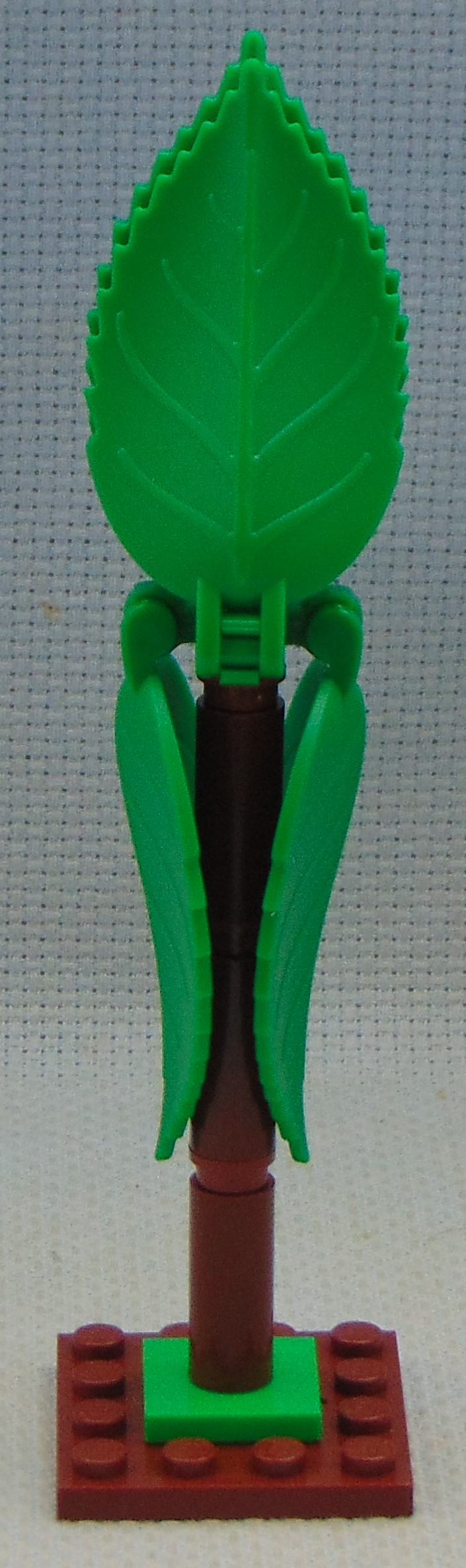 clone_tree_3__front.jpg