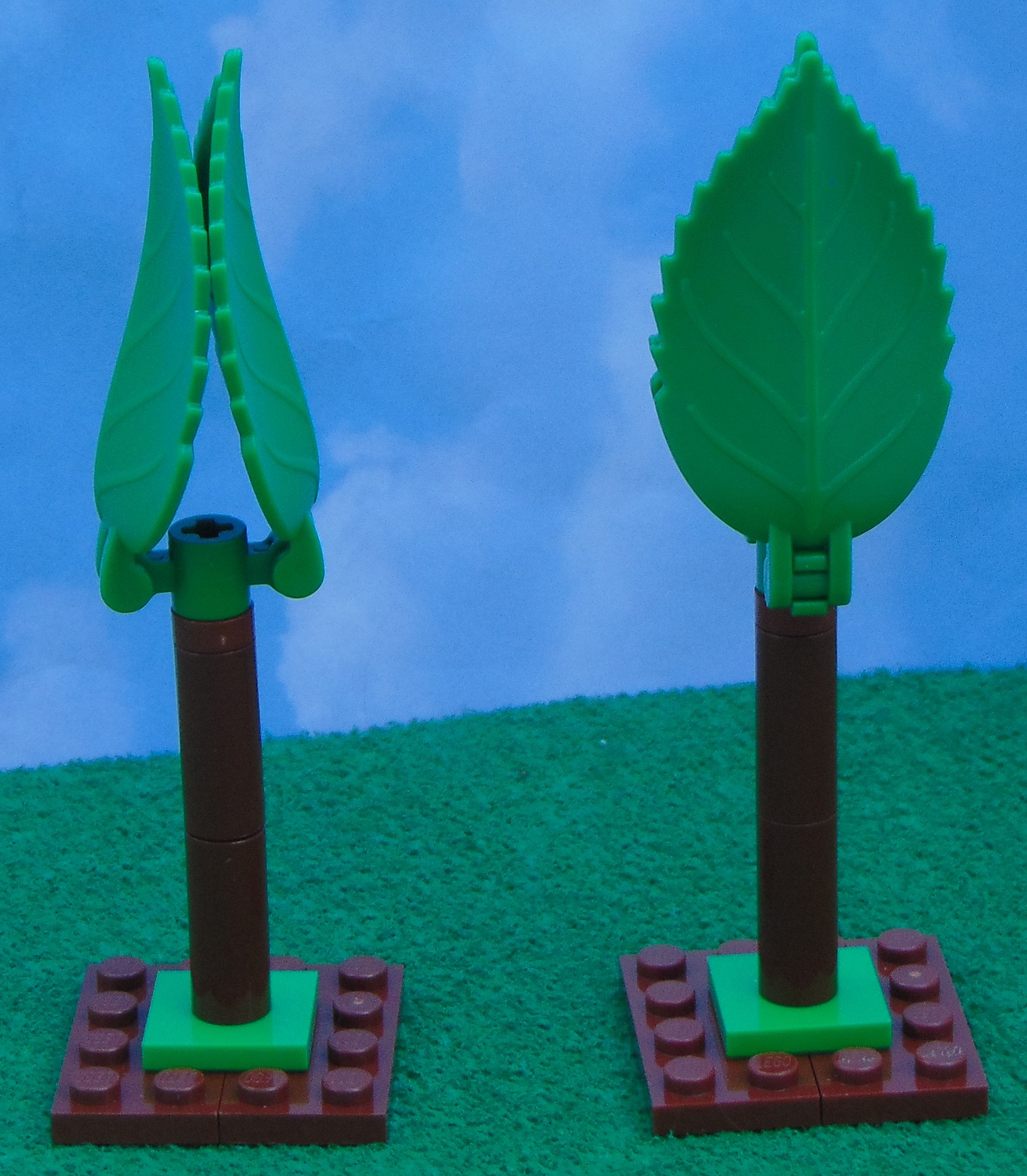 trees_27.jpg