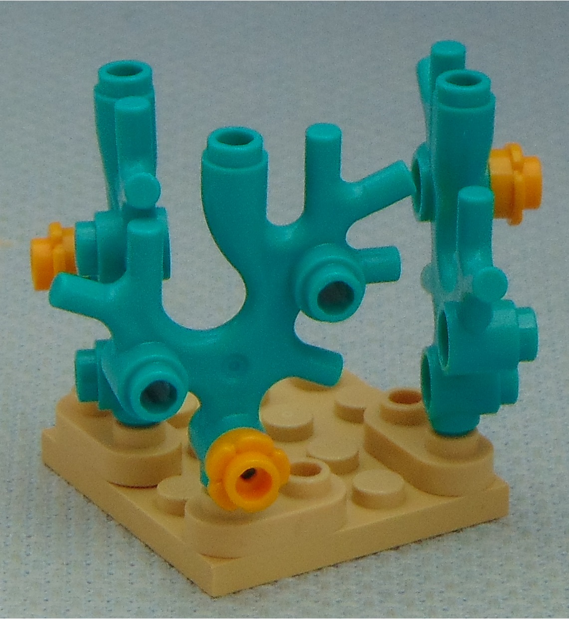 coral_formation__angle.jpg