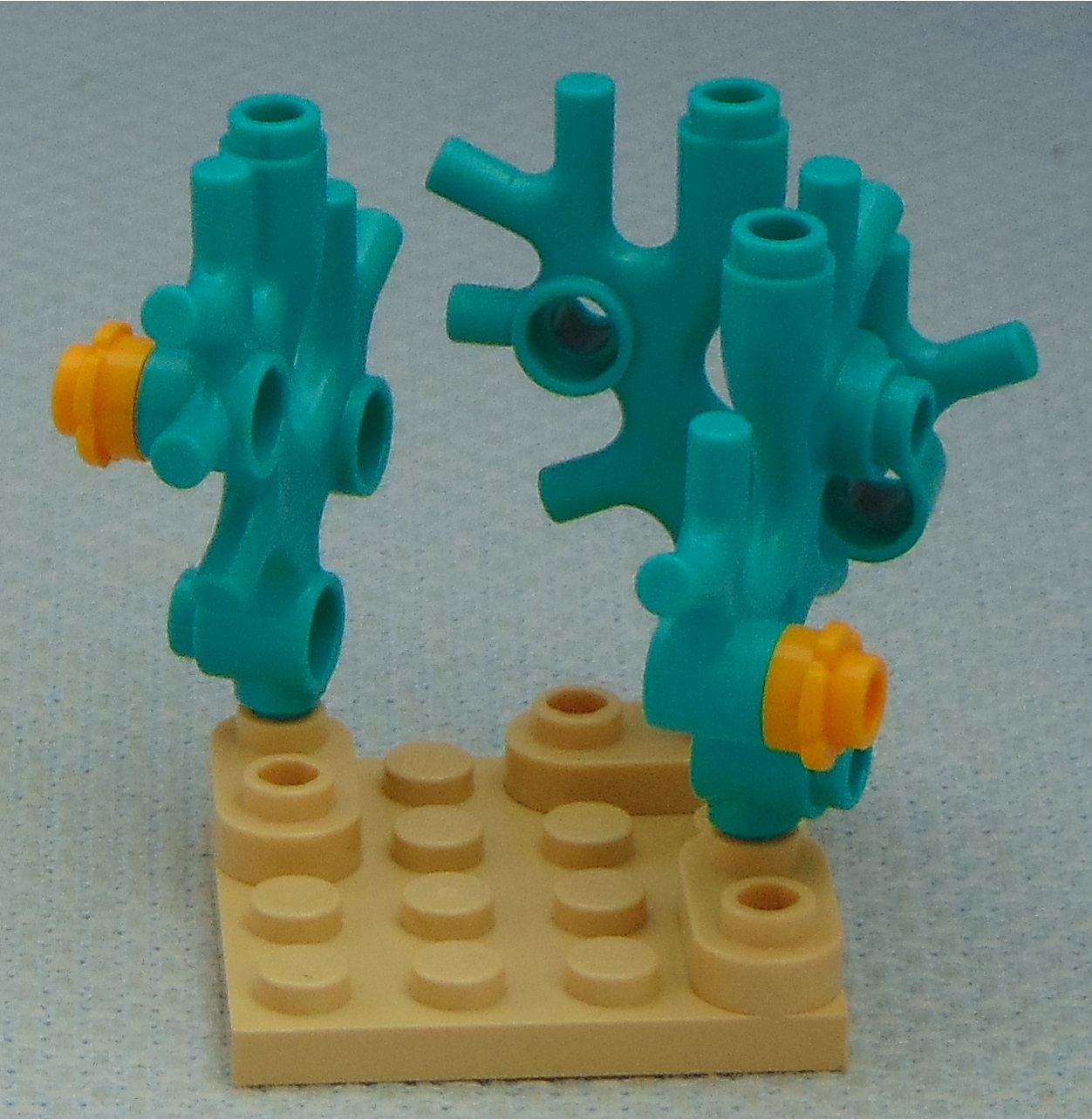 coral_formation__rear.jpg