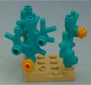 coral_formation__front.jpg