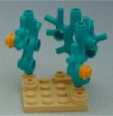 coral_formation__rear.jpg