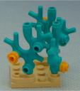 coral_formation__right.jpg