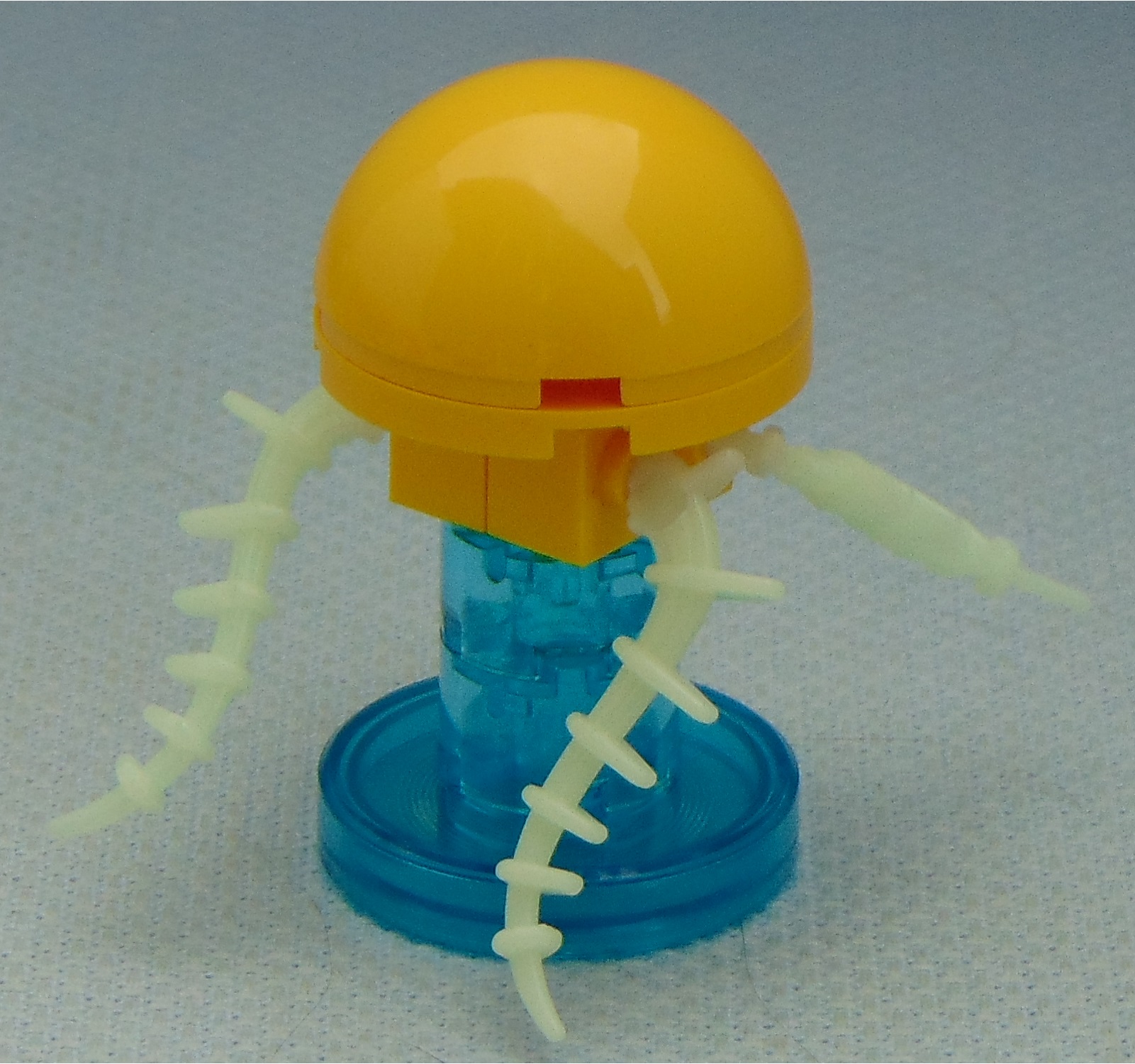 jellyfish__angle.jpg