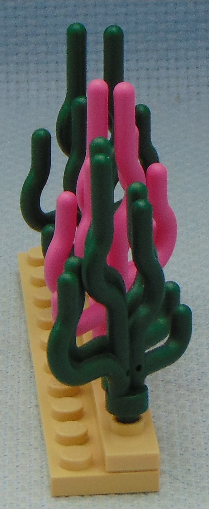 aquacultured_seaweed__front.jpg