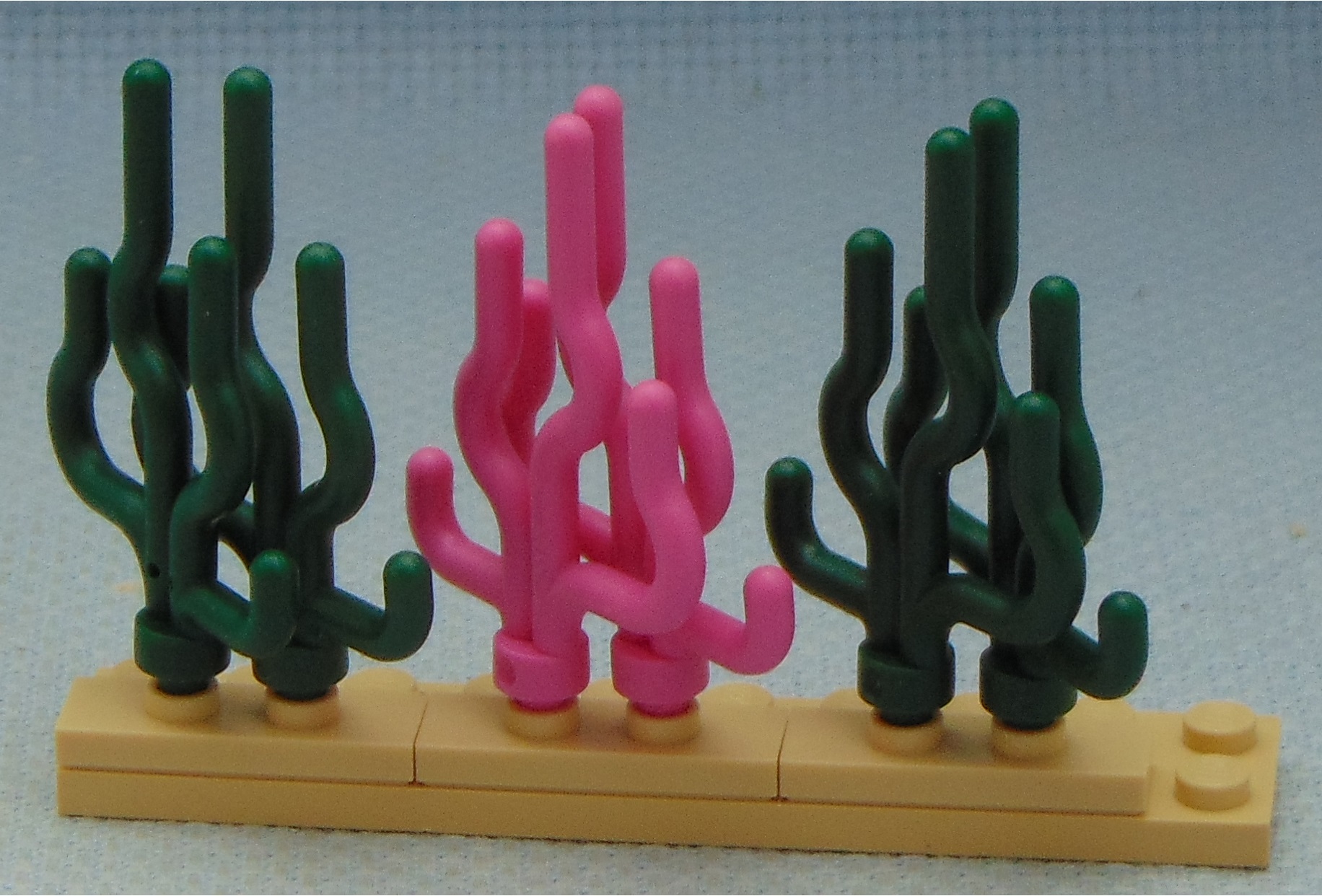 aquacultured_seaweed__side.jpg