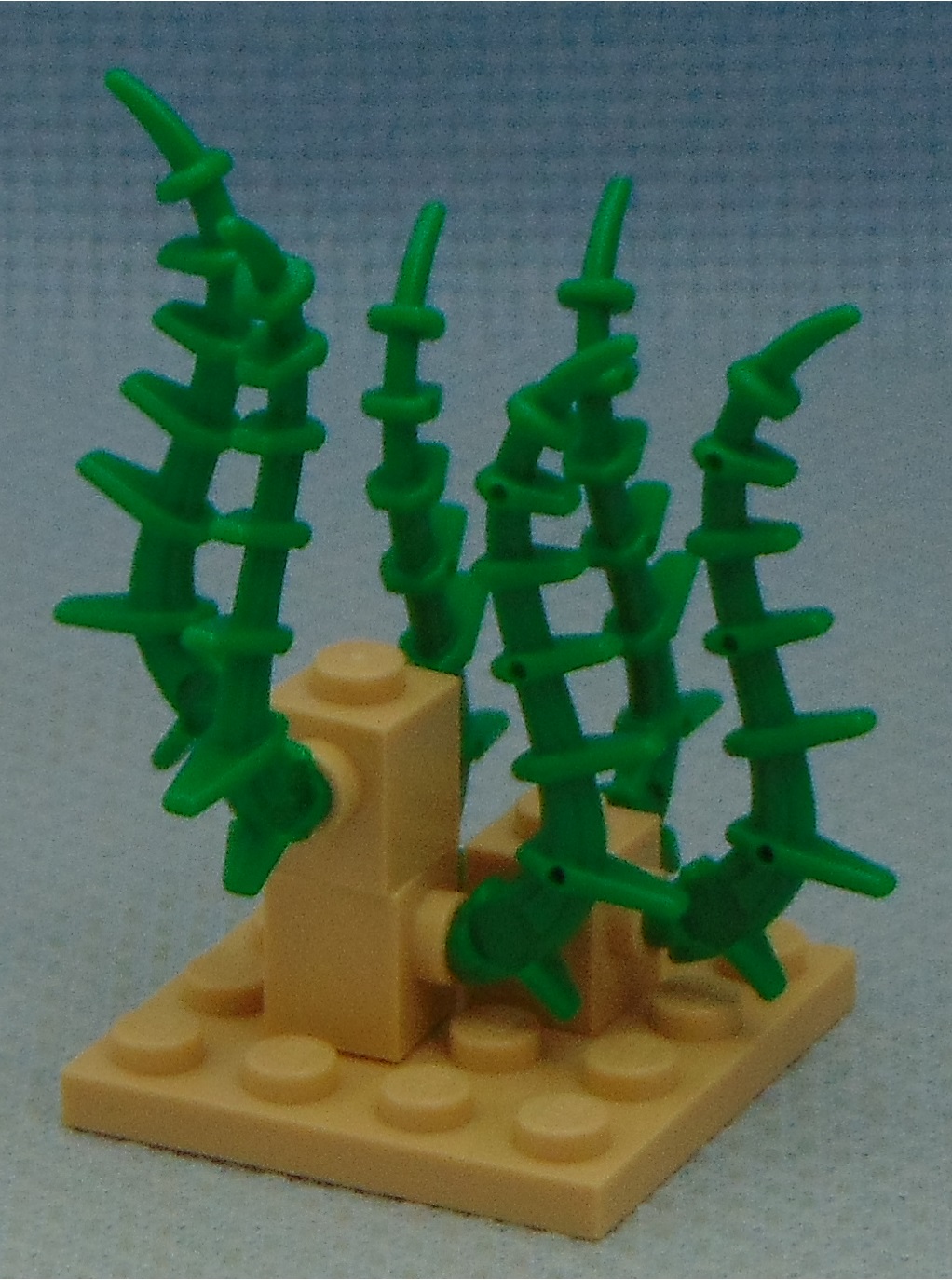 vines_and_rocks__angle.jpg