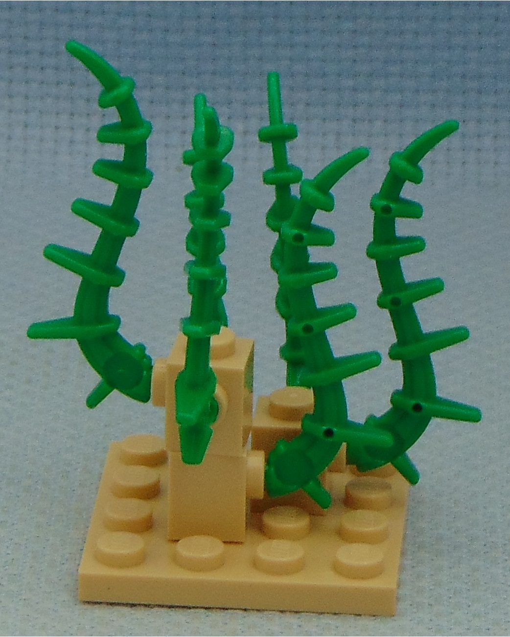 vines_and_rocks__front.jpg