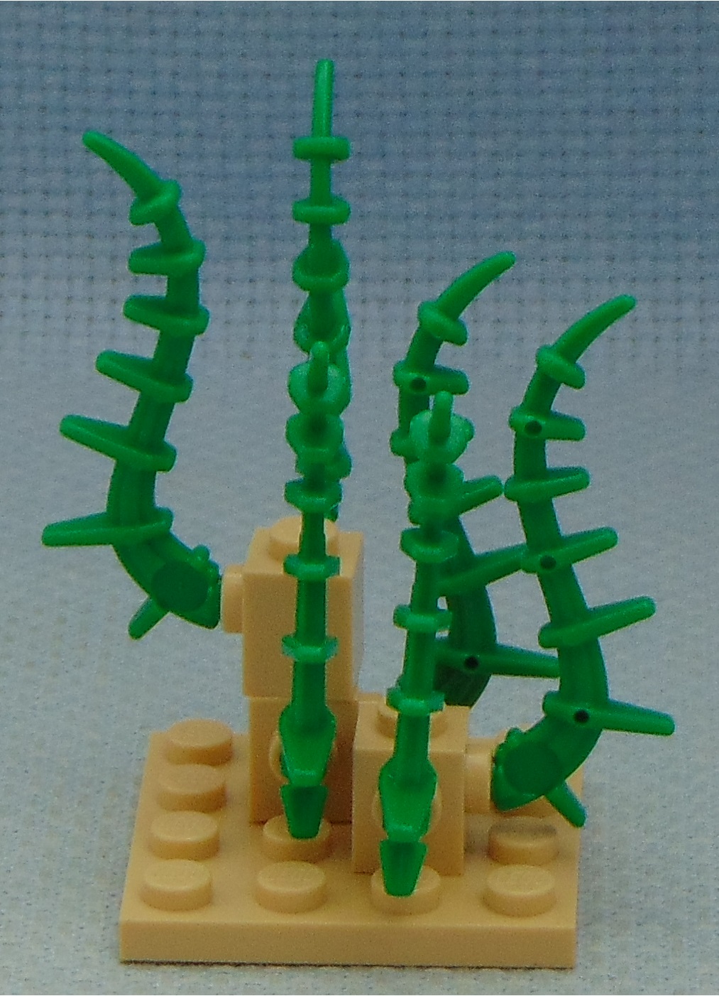 vines_and_rocks__left.jpg