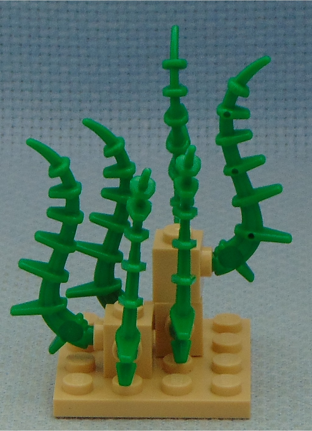 vines_and_rocks__rear.jpg