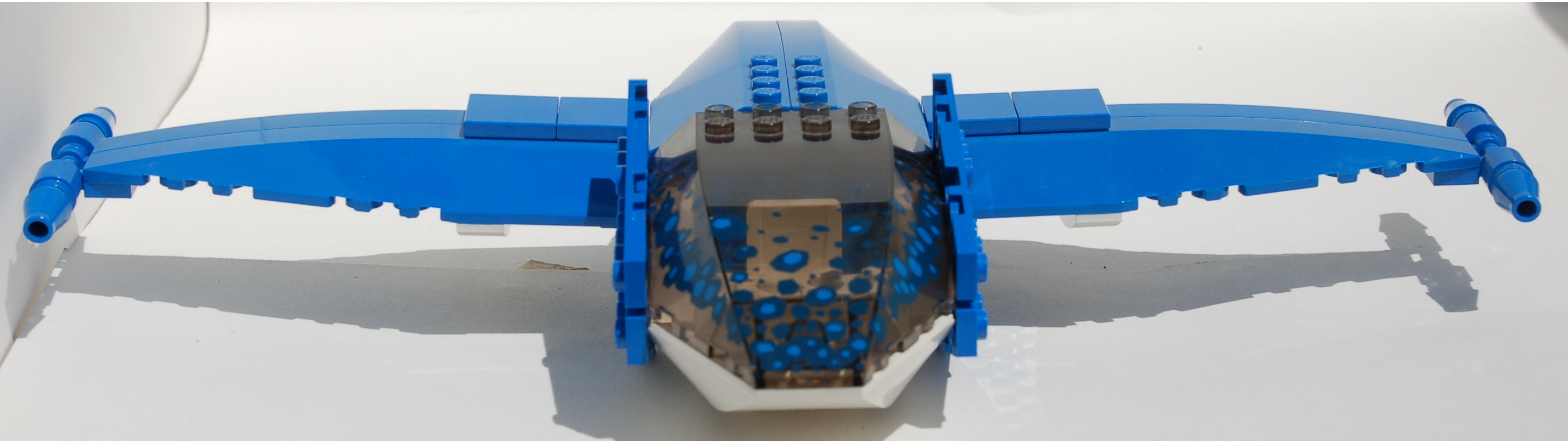 spacewing__front.jpg