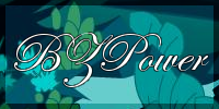 section_bzpower.png
