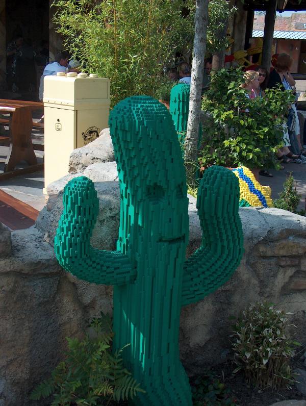 cactus1.jpg
