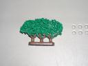 tree-3.jpg
