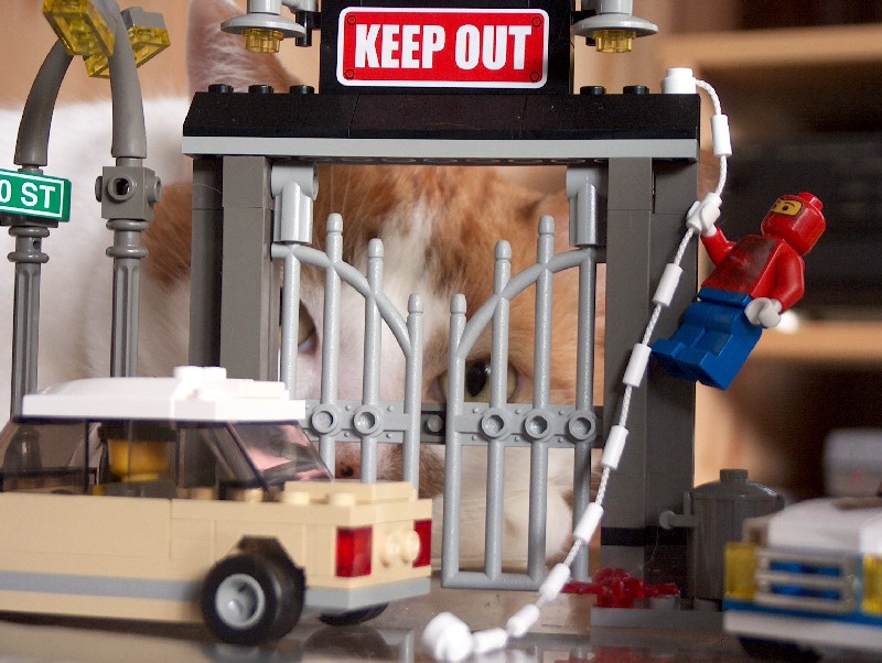 keepout.jpg