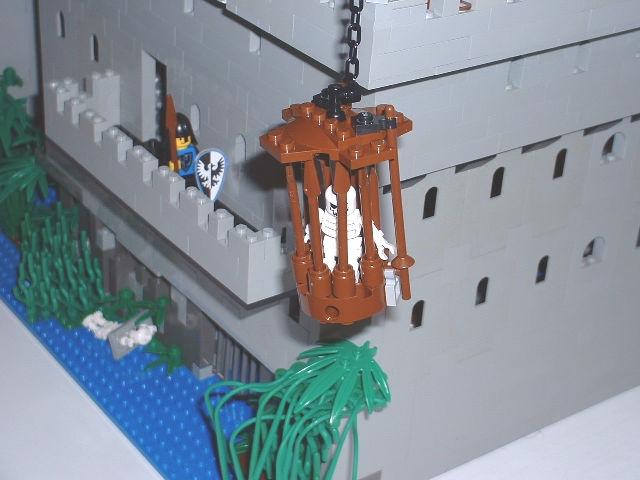 cage2.jpg