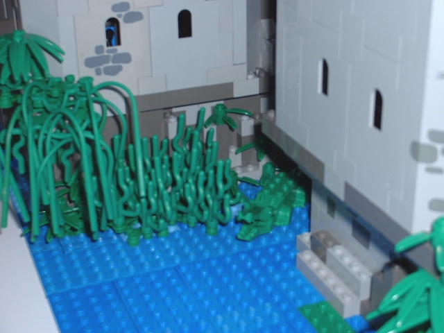 marsh1.jpg