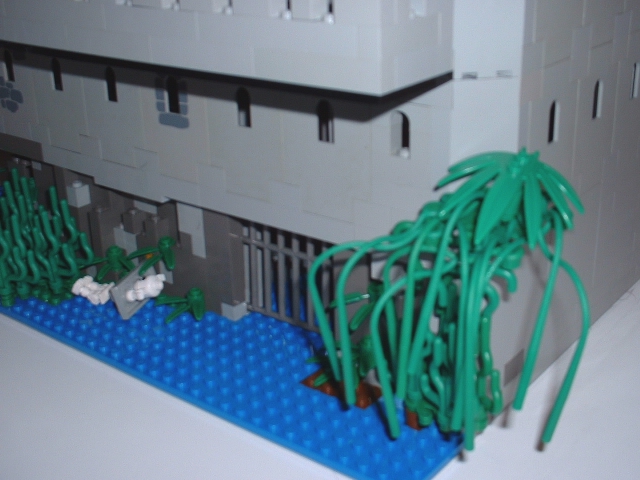marsh3.jpg