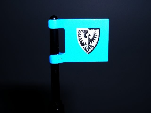 castleflag.jpg
