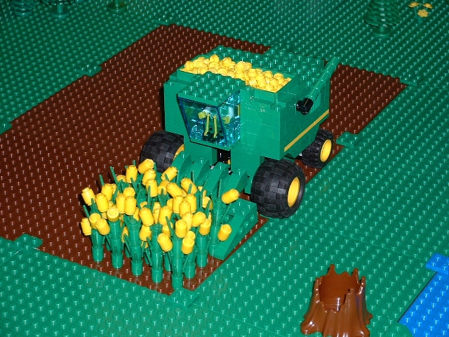c12.jpg