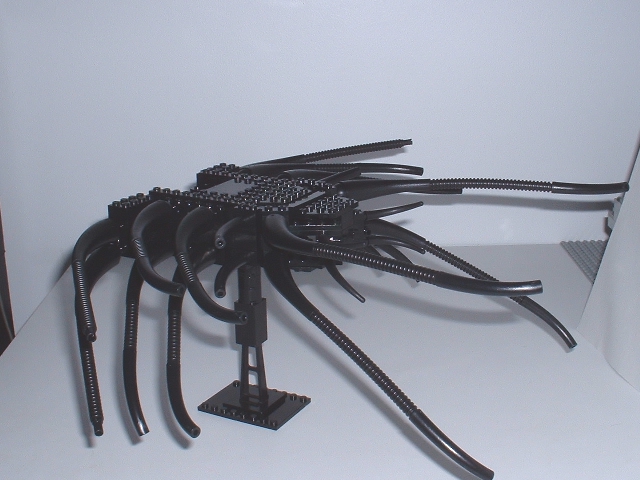 shadow08.jpg