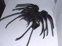 shadow02.jpg