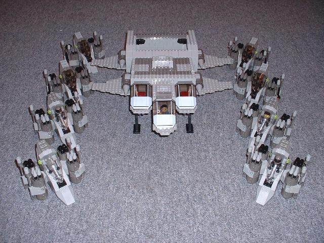 wing1.jpg