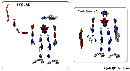 zyg2.png