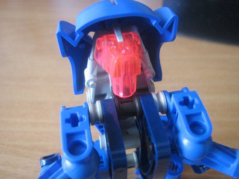head.jpg