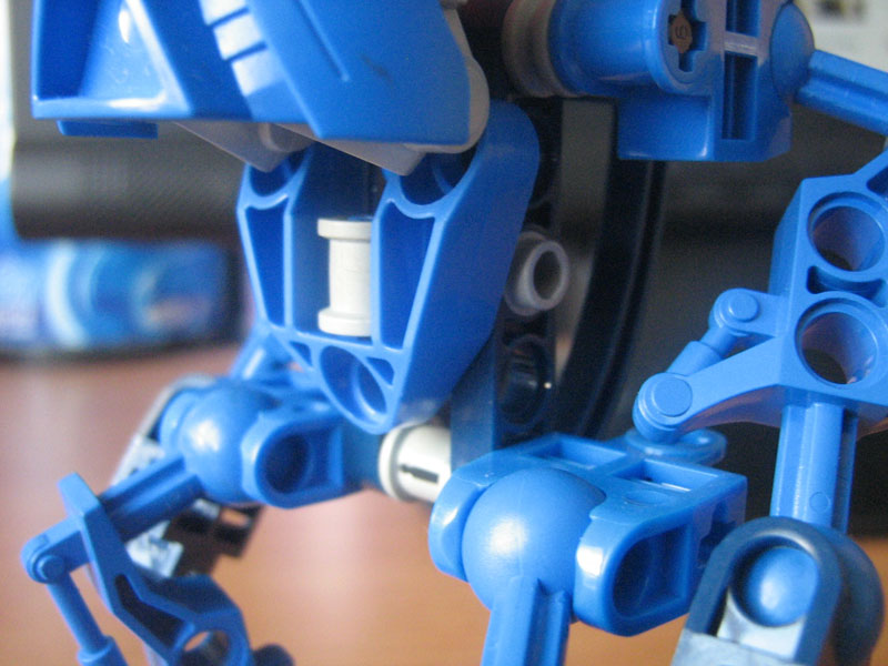 torso.jpg