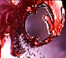 avekbabcia.png